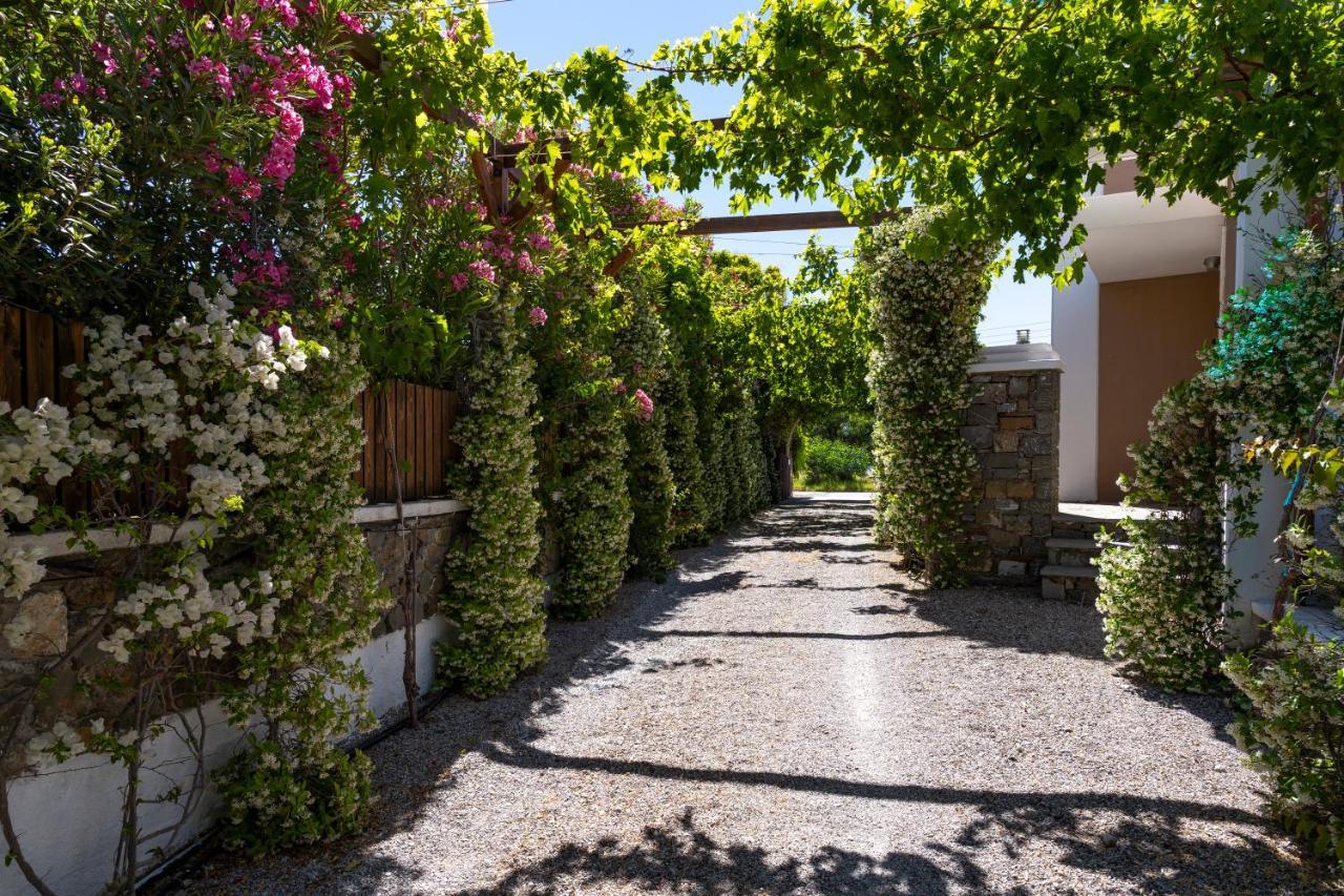 Horizon Line Villas Kiotari Zewnętrze zdjęcie